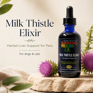 Milk Thistle Elixir – Herbal Liver Support for Pets