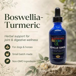 Boswellia-Turmeric – Herbal Support for Dog & Horse Joint & Digestive Wellness