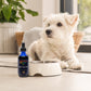 Urinary Tract Health™ – Herbal Bladder Support for Dogs