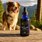 Connective Tissue Formula™ – Support Ligaments & Tendons in Dogs & Horses