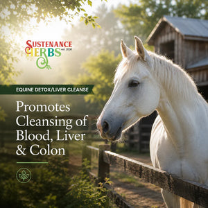 Equine Detox / Liver Cleanse™