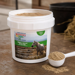 Equine Probiotic & Digestive Enzyme Blend
