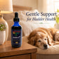 IncontinX™ – Natural Bladder Support for Dogs