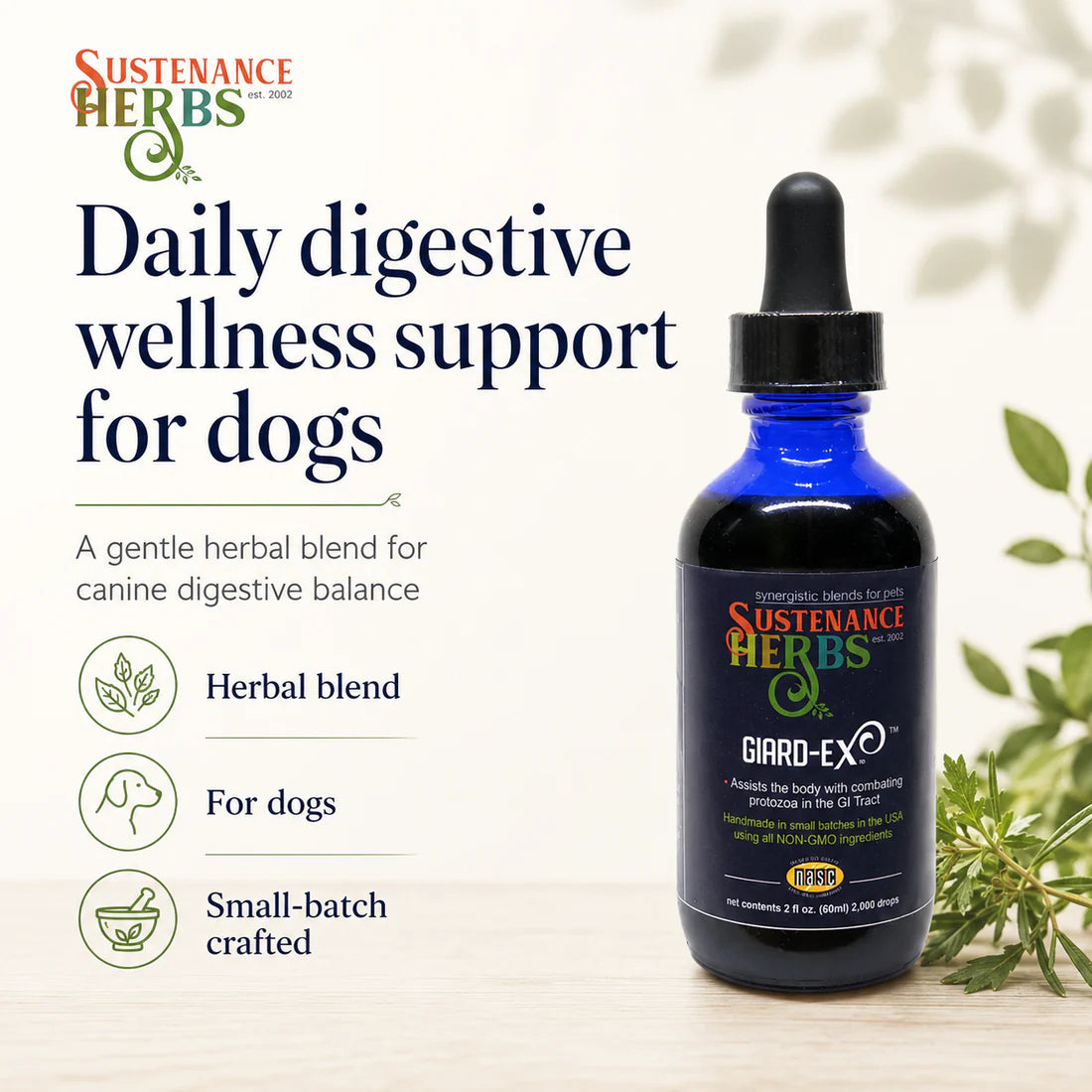 Giard-Ex™ – Herbal Digestive Support for Dogs
