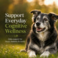 Cognitive Function™ with Astaxanthin & Brain Support for Pets