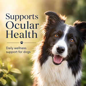 Bright Eyes™ with Astaxanthin – Natural Eye Support for Dogs