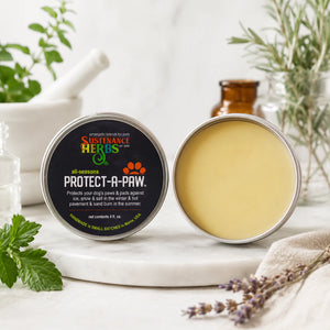 Protect-A-Paw™ – Healing & Protective Paw Balm for Dogs