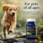 Green Lippies™ for Pets & Green Lipped Mussel Oil