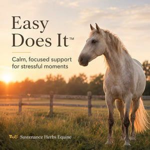 Easy Does It™ & Organic Calming Support for Horses