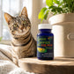 Green Lippies™ for Pets & Green Lipped Mussel Oil