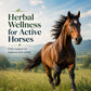 AntiBacT™ – Herbal Wellness Support for Dogs & Horses