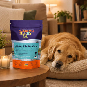 Canine & Feline Calm – Organic Anxiety Support for Dogs & Cats