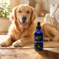 Urinary Tract Health™ – Herbal Bladder Support for Dogs