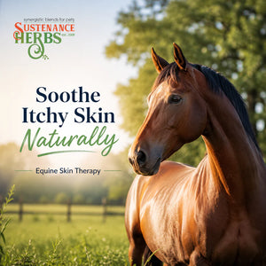 Equine Skin Therapy – Fast Relief for Itchy, Irritated Horse Skin