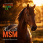 Equine Skin Therapy – Fast Relief for Itchy, Irritated Horse Skin