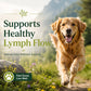 Lymphatic Mover™ – Natural Lymphatic Support for Dogs & Horses