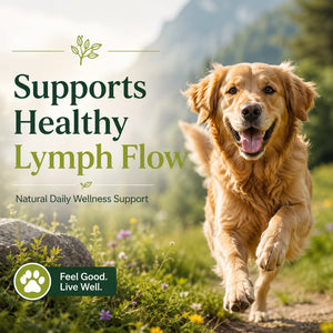 Lymphatic Mover™ – Natural Lymphatic Support for Dogs & Horses