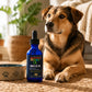Anaplaz-No™ – Immune & Kidney Support for Dogs & Horses