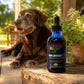 Aging Gracefully™ – Vitality Support for Senior Dogs