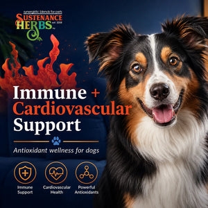 Asta-Pet™ Natural Astaxanthin for Dogs &nbsp;Antioxidant Support