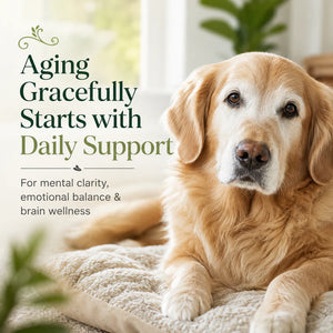 Cognitive Function™ with Astaxanthin & Brain Support for Pets
