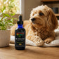 Milk Thistle Elixir – Herbal Liver Support for Pets