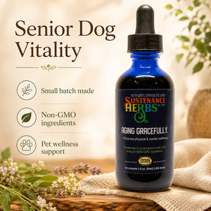 Aging Gracefully™ – Vitality Support for Senior Dogs