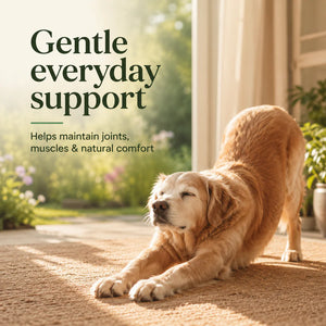 Spinal Formula™ – Herbal Joint & Muscle Support for Pets