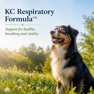 KC Respiratory Formula™ – Natural Lung &amp; Airway Support for Dogs