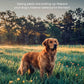 Canine Herbal Wormer – Natural Parasite Support for Dogs