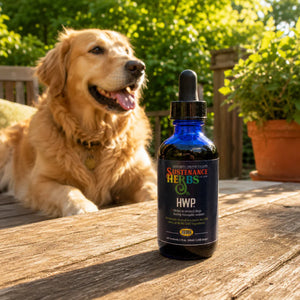 HWP for Dogs – Seasonal Mosquito Support