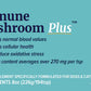 Immune Mushroom Plus & Natural Immune Support for Pets