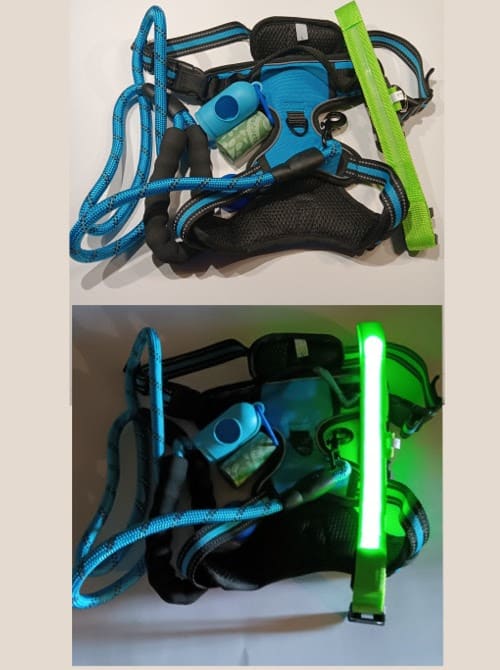 Night Walker (more details)