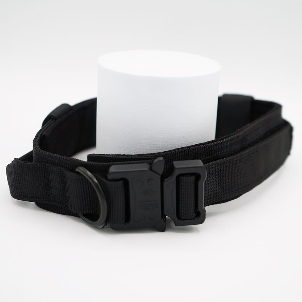 The Big Big Dog (more details)