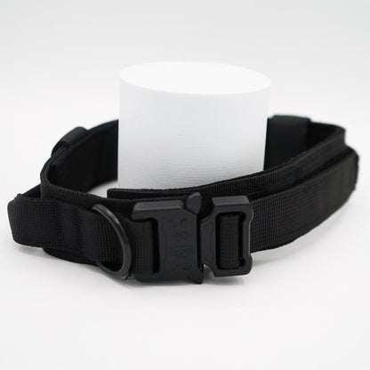 The Big Big Dog (more details)