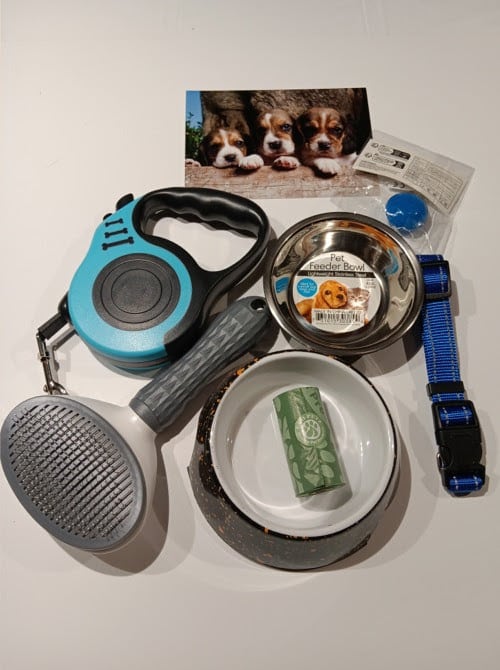 We Got a Boy Puppy (more details)