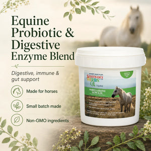 Equine Probiotic & Digestive Enzyme Blend