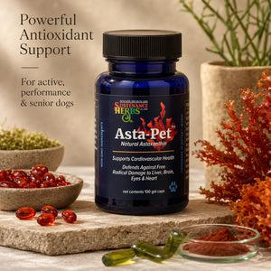 Asta-Pet™ Natural Astaxanthin for Dogs &nbsp;Antioxidant Support