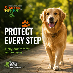 Protect-A-Paw™ – Healing & Protective Paw Balm for Dogs