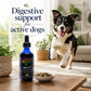 Giard-Ex™ – Herbal Digestive Support for Dogs