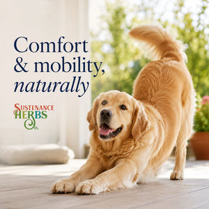 Comfort Zone™ – Gentle Herbal Support for Dogs Comfort