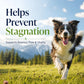 Lymphatic Mover™ – Natural Lymphatic Support for Dogs & Horses