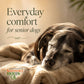 Comfort Zone™ – Gentle Herbal Support for Dogs Comfort