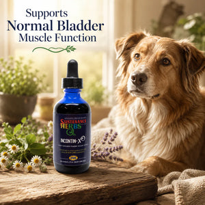 IncontinX™ – Natural Bladder Support for Dogs