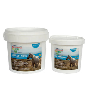 Equine Joint Works™ – Herbal Joint Support for Horses