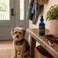 Natur-Repel™ – Organic Dog Bug Repellent Oil & Spray