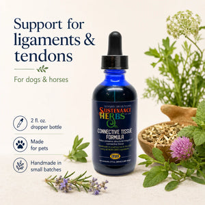 Connective Tissue Formula™ – Support Ligaments & Tendons in Dogs & Horses